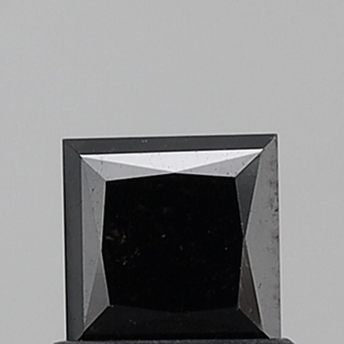 0.76 Carat Princess Diamond Fancy Black VVS2