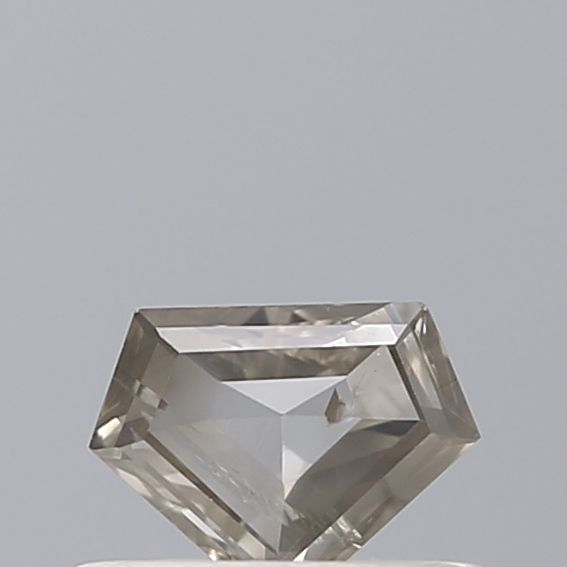 0.28 Carat Shield Diamond Salt and Pepper VVS2