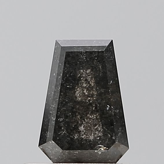 0.72 Carat Calf Diamond Salt and Pepper VVS2