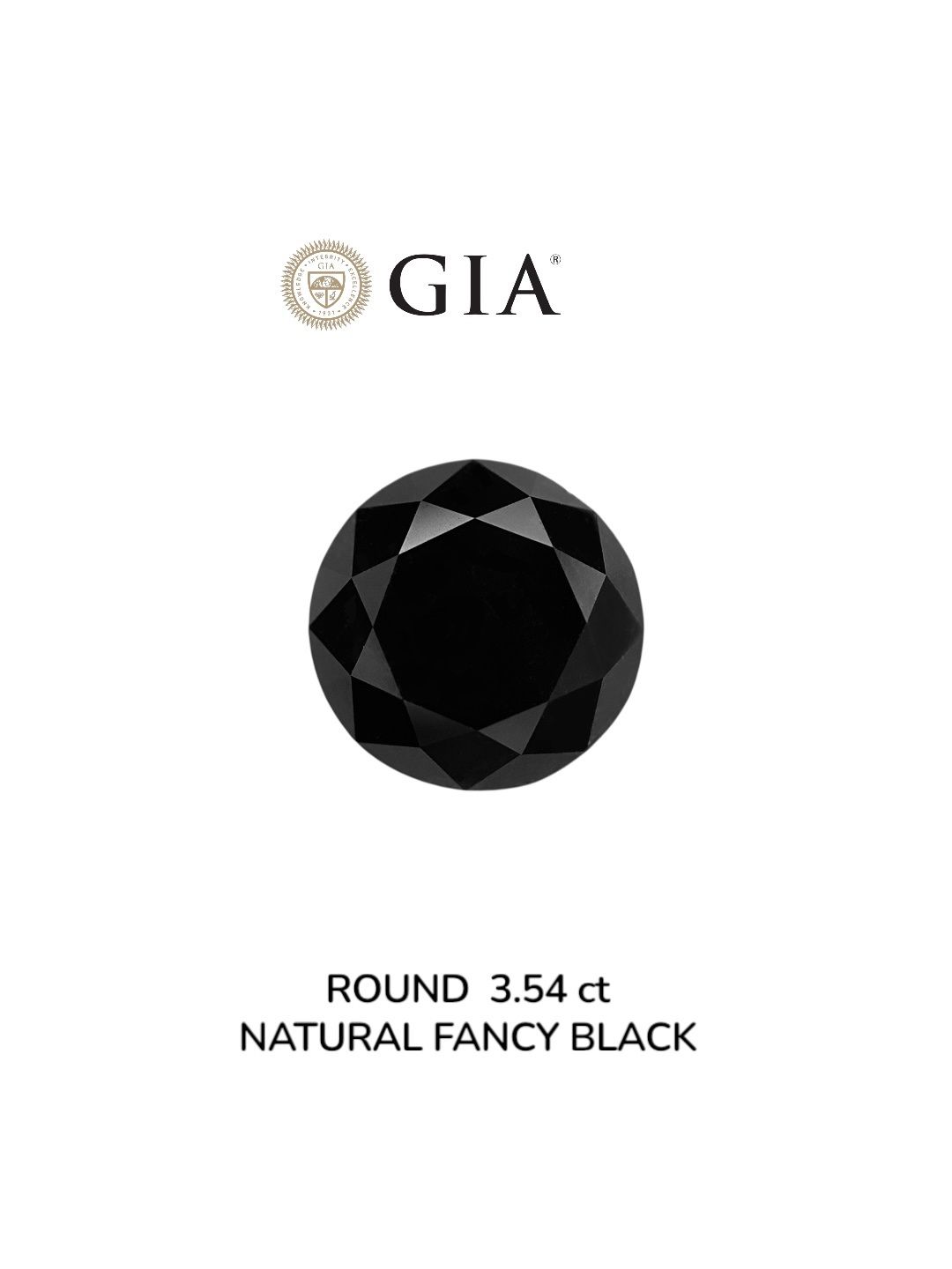 3.54 Carat Round Diamond Fancy Black VVS2