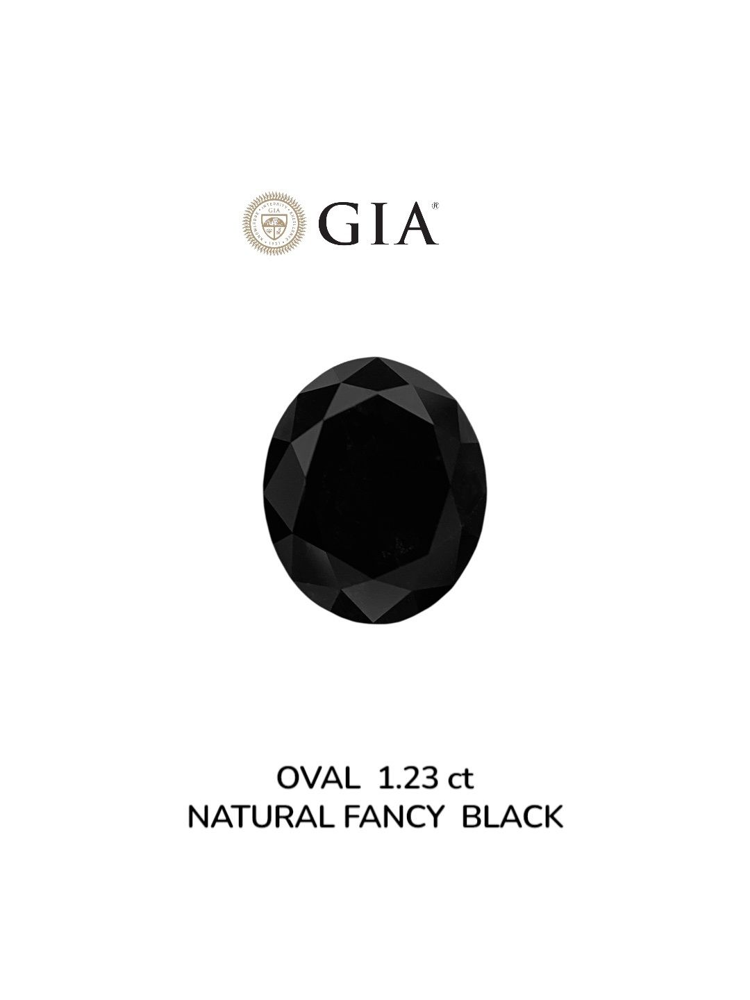 1.23 Carat Oval Diamond Fancy Black VVS2