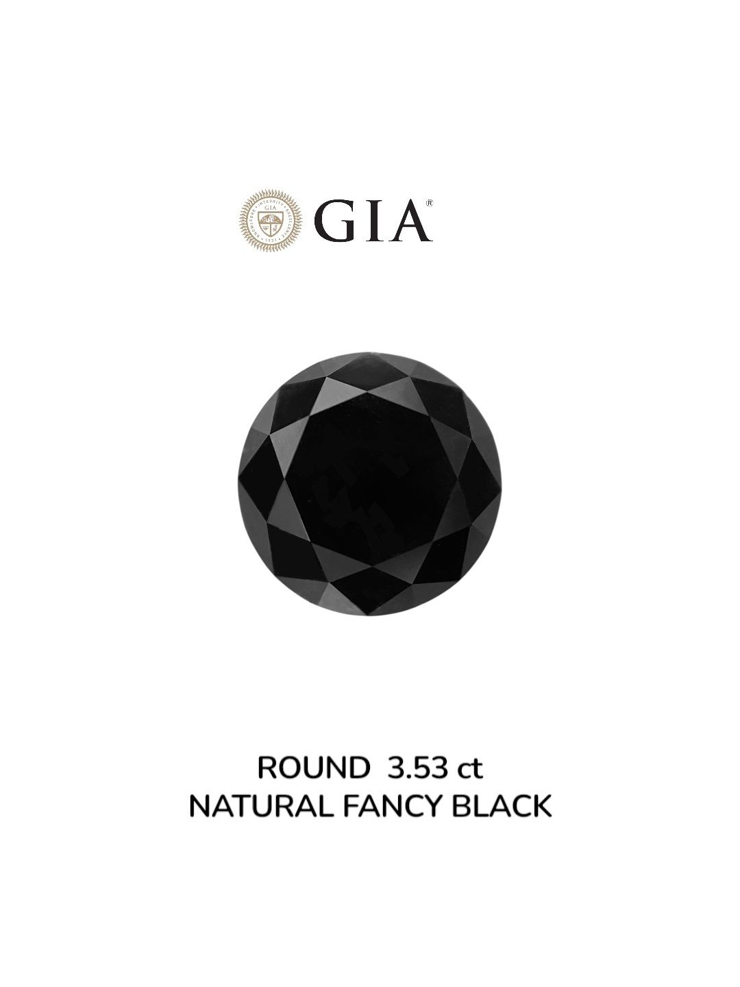 3.53 Carat Round Diamond Fancy Black VVS2