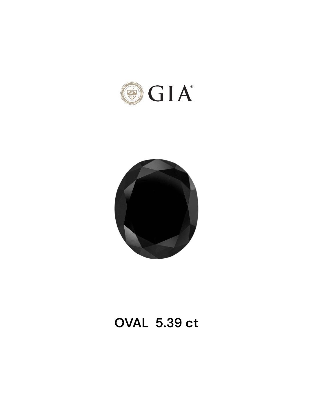 5.39 Carat Oval Diamond Fancy Black VVS2