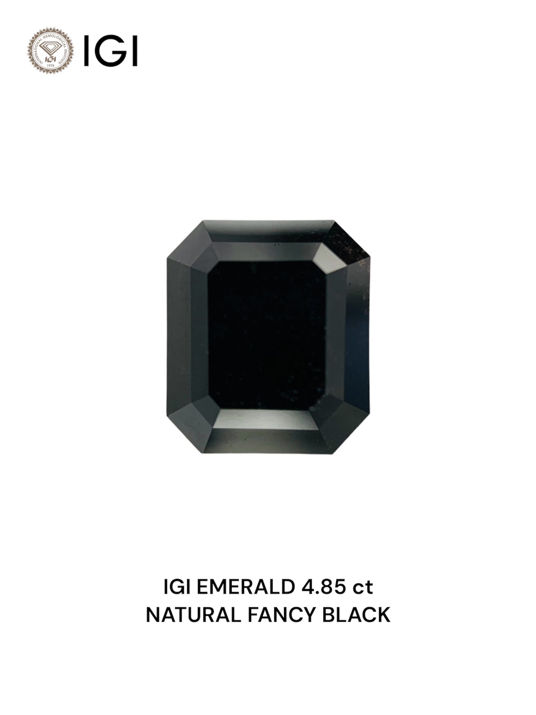 4.85 Carat Emerald Diamond Fancy Black 