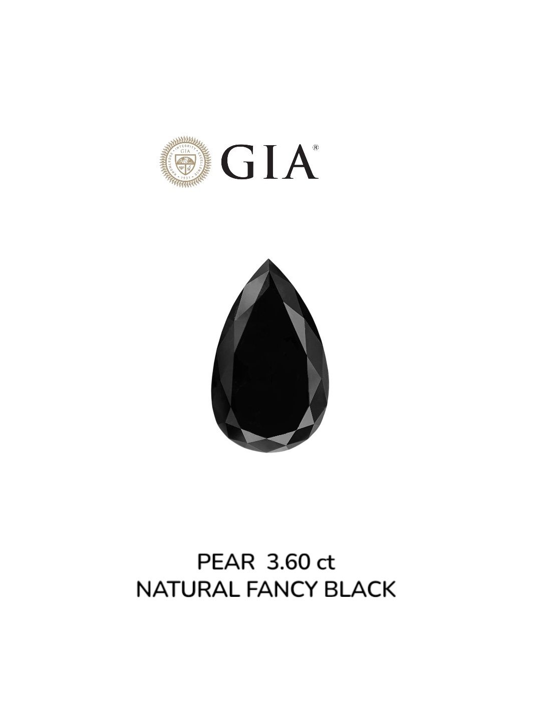 3.6 Carat Pear Diamond Fancy Black VVS2