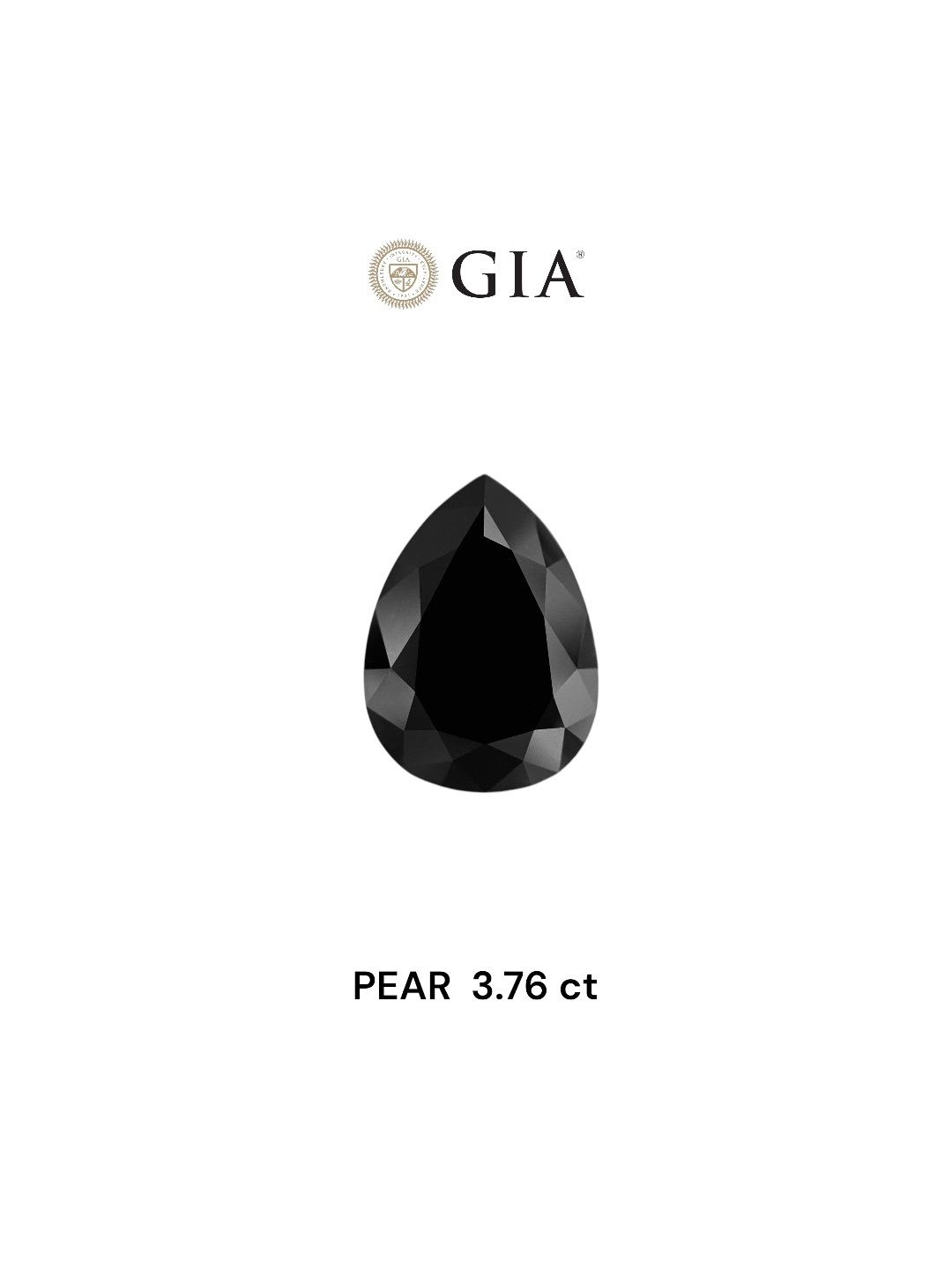 3.76 Carat Pear Diamond Fancy Black VVS2