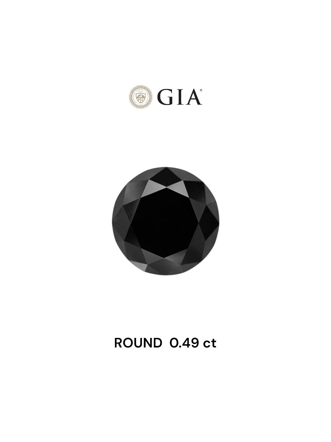 0.49 Carat Round Diamond Fancy Black VVS2