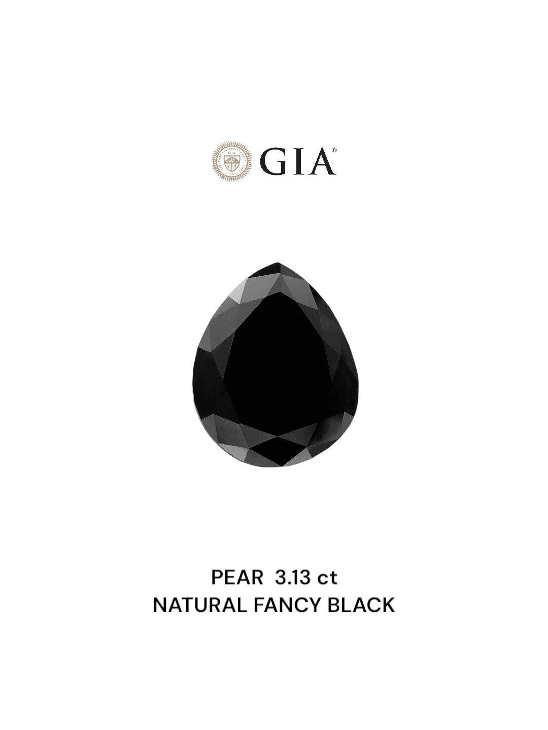 3.13 Carat Pear Diamond Fancy Black VVS2