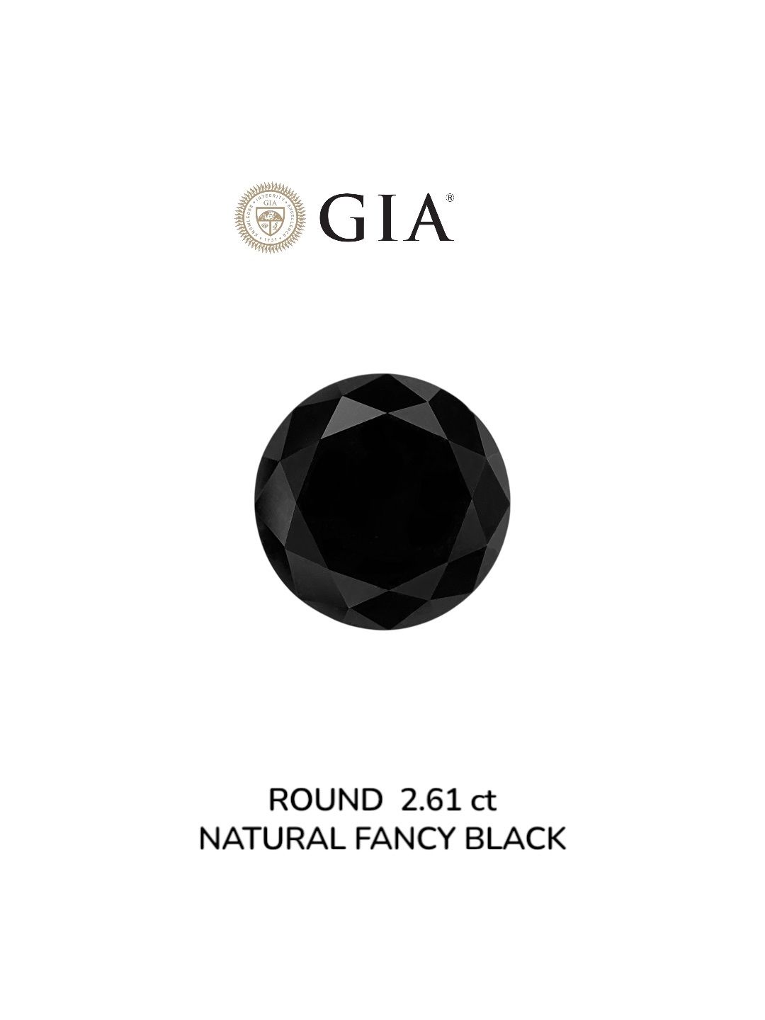 2.61 Carat Round Diamond Fancy Black VVS2