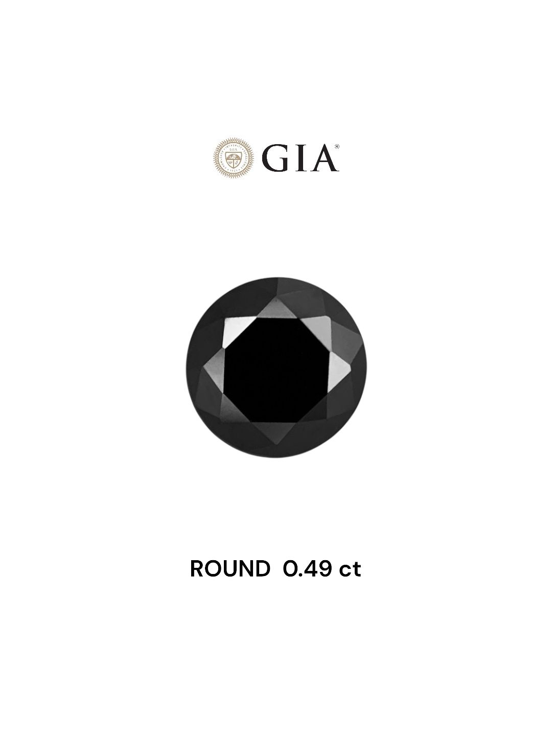 0.49 Carat Round Diamond Fancy Black VVS2
