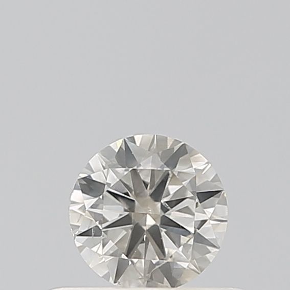 0.31 Carat Round Diamond Salt and Pepper VVS1