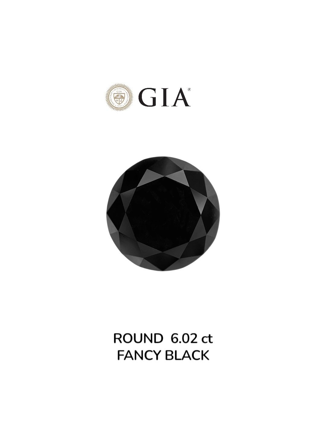 6.02 Carat Round Diamond Fancy Black VVS2