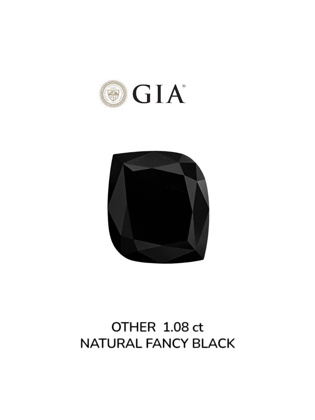 1.08 Carat Other Diamond Fancy Black VVS2