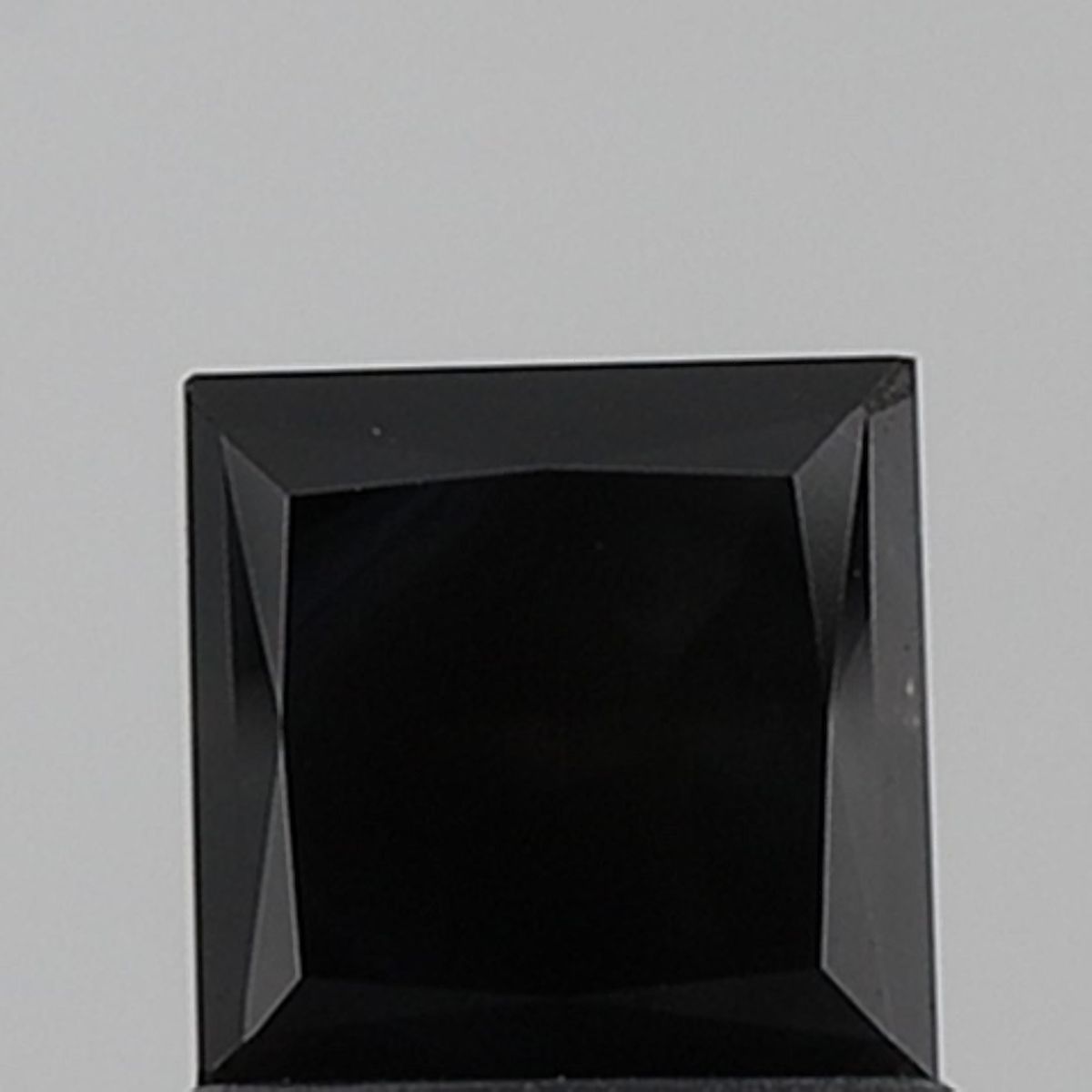 1.19 Carat Princess Diamond Fancy Black VVS1