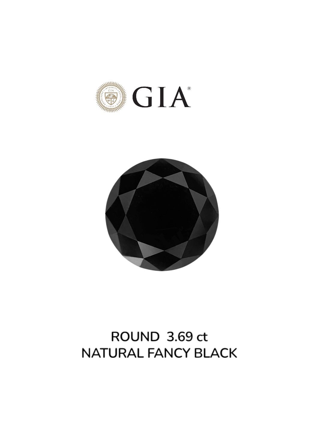3.69 Carat Round Diamond Fancy Black VVS2