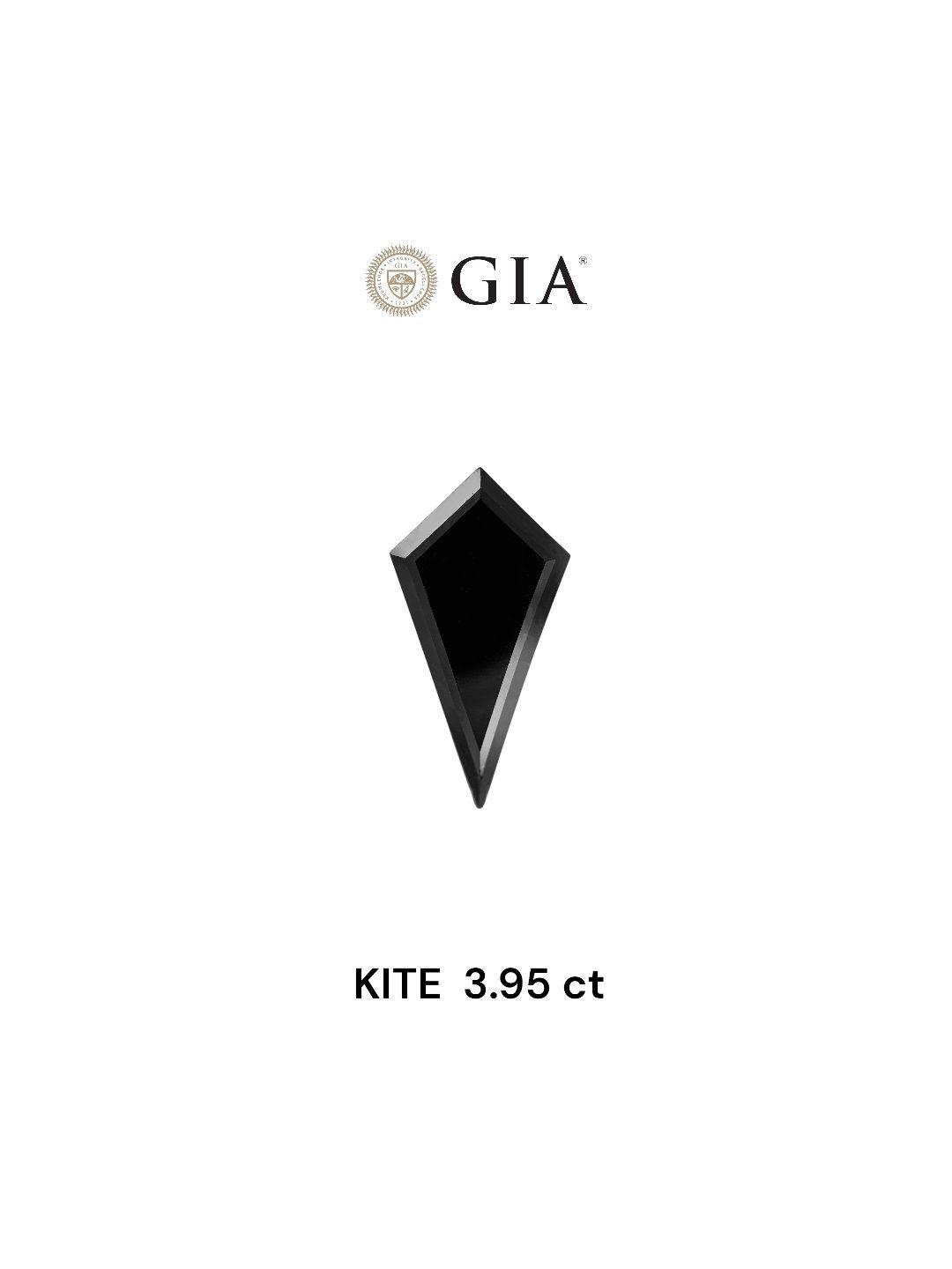 3.95 Carat Kite Diamond Fancy Black VVS2