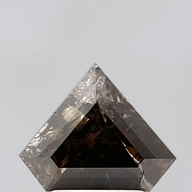 1.64 Carat Shield Diamond Salt and Pepper VS1