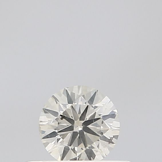 0.27 Carat Round Diamond Salt and Pepper VVS1